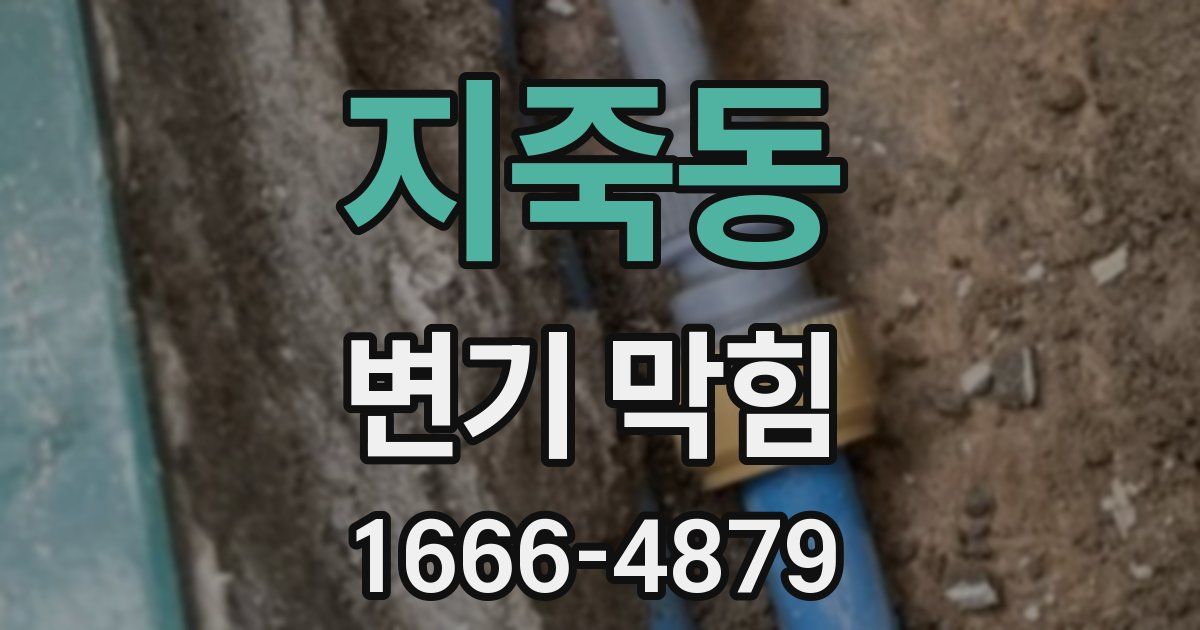 지죽동 변기 막힘