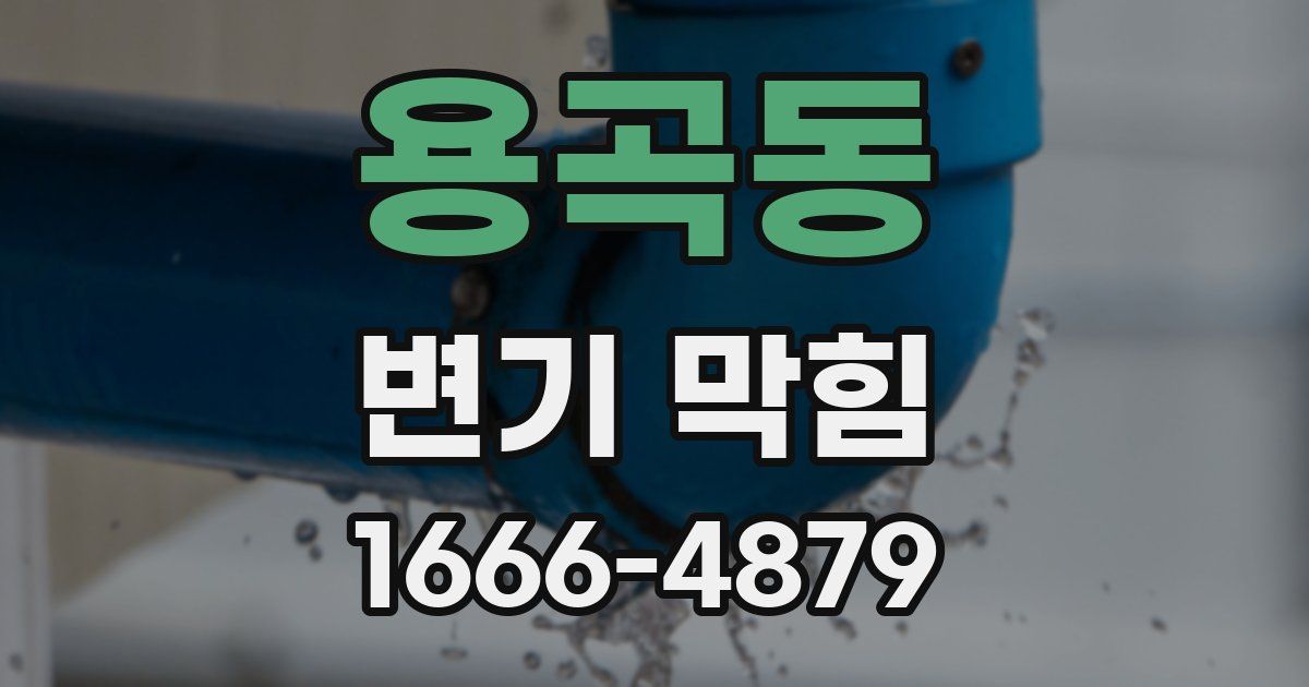 용곡동 변기 막힘
