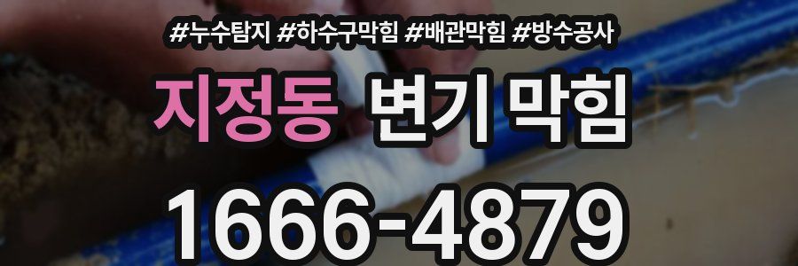 지정동 변기 막힘