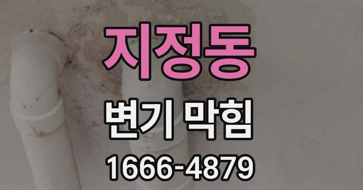 지정동 변기 막힘