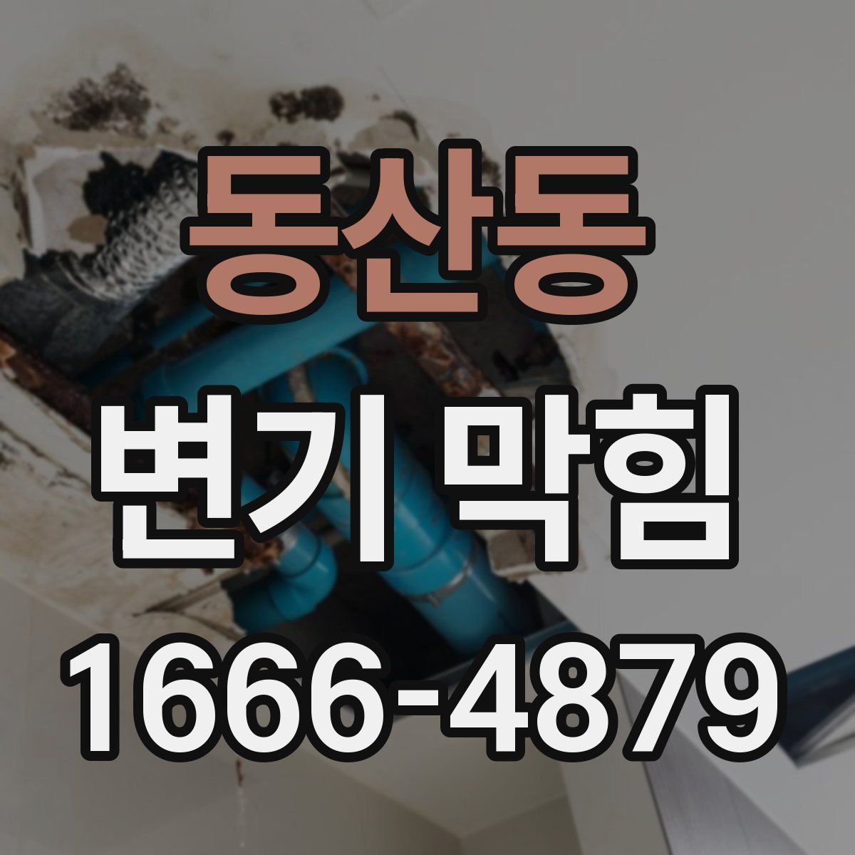 동산동 변기 막힘
