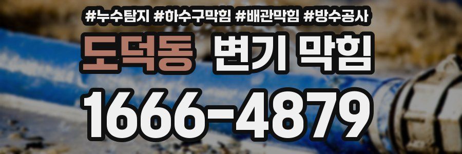 도덕동 변기 막힘