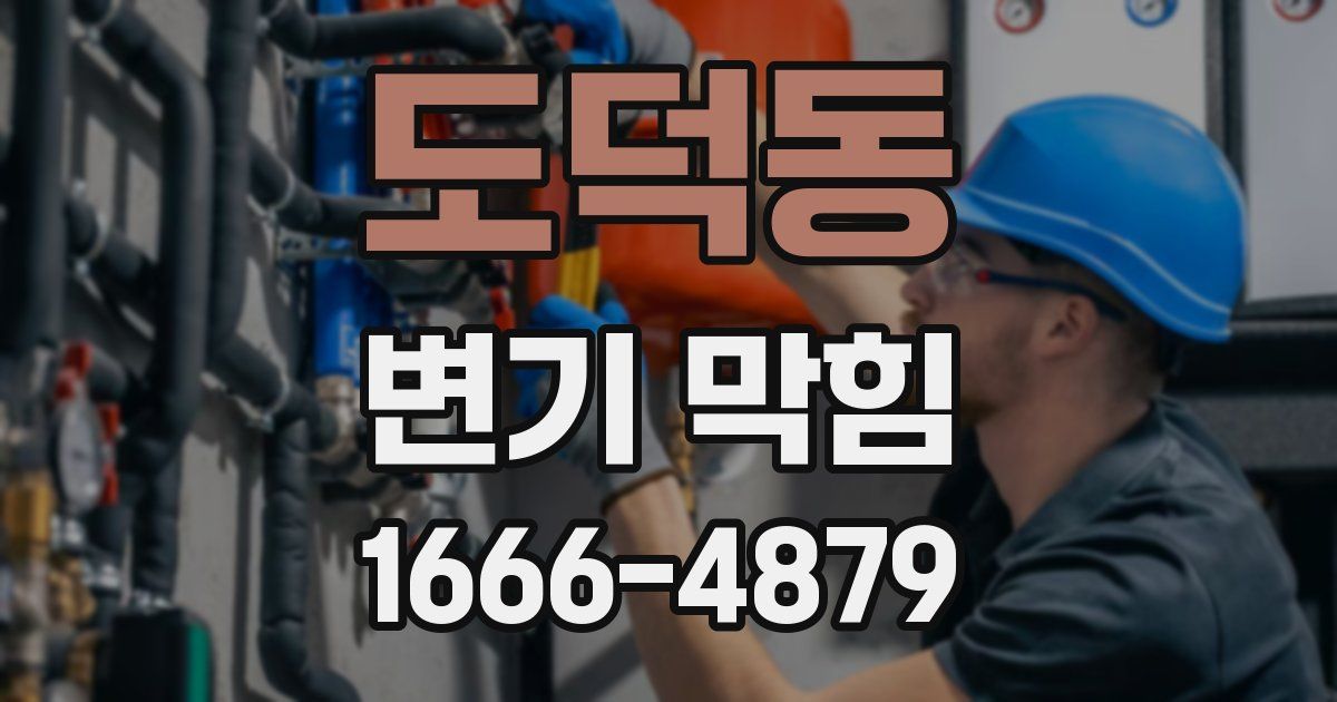 도덕동 변기 막힘