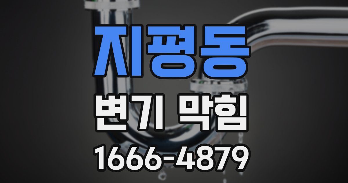 지평동 변기 막힘
