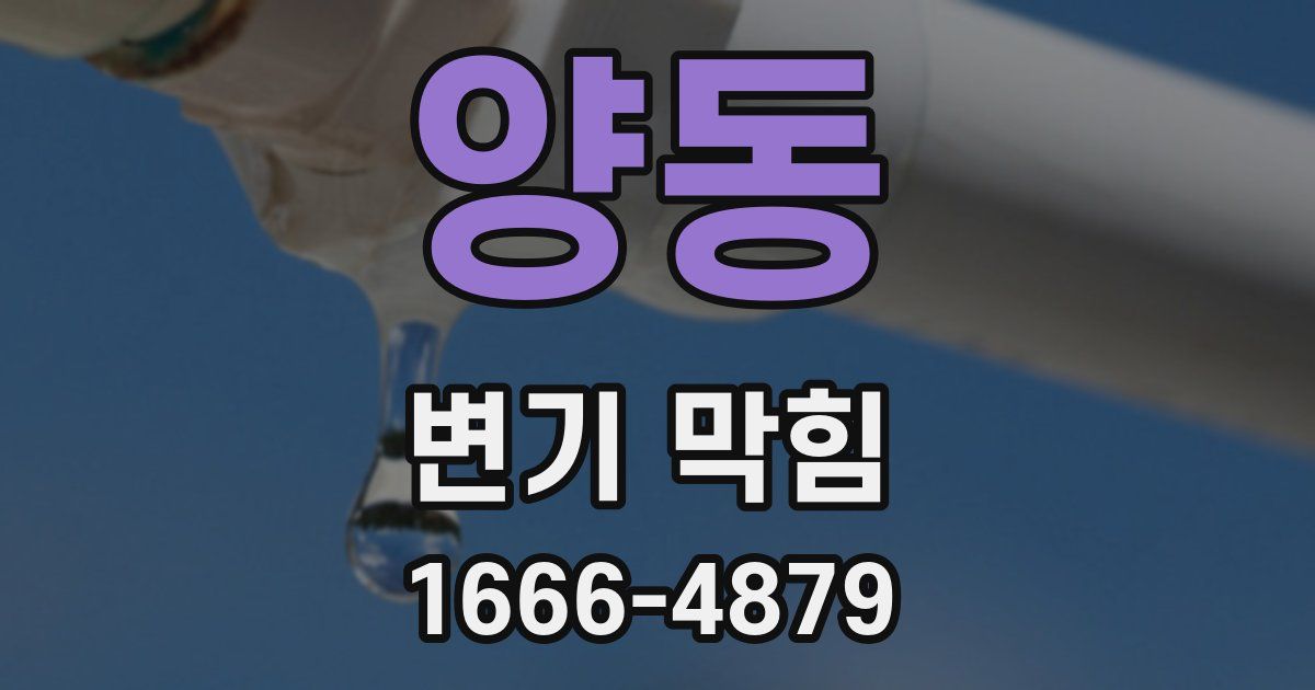 양동 변기 막힘