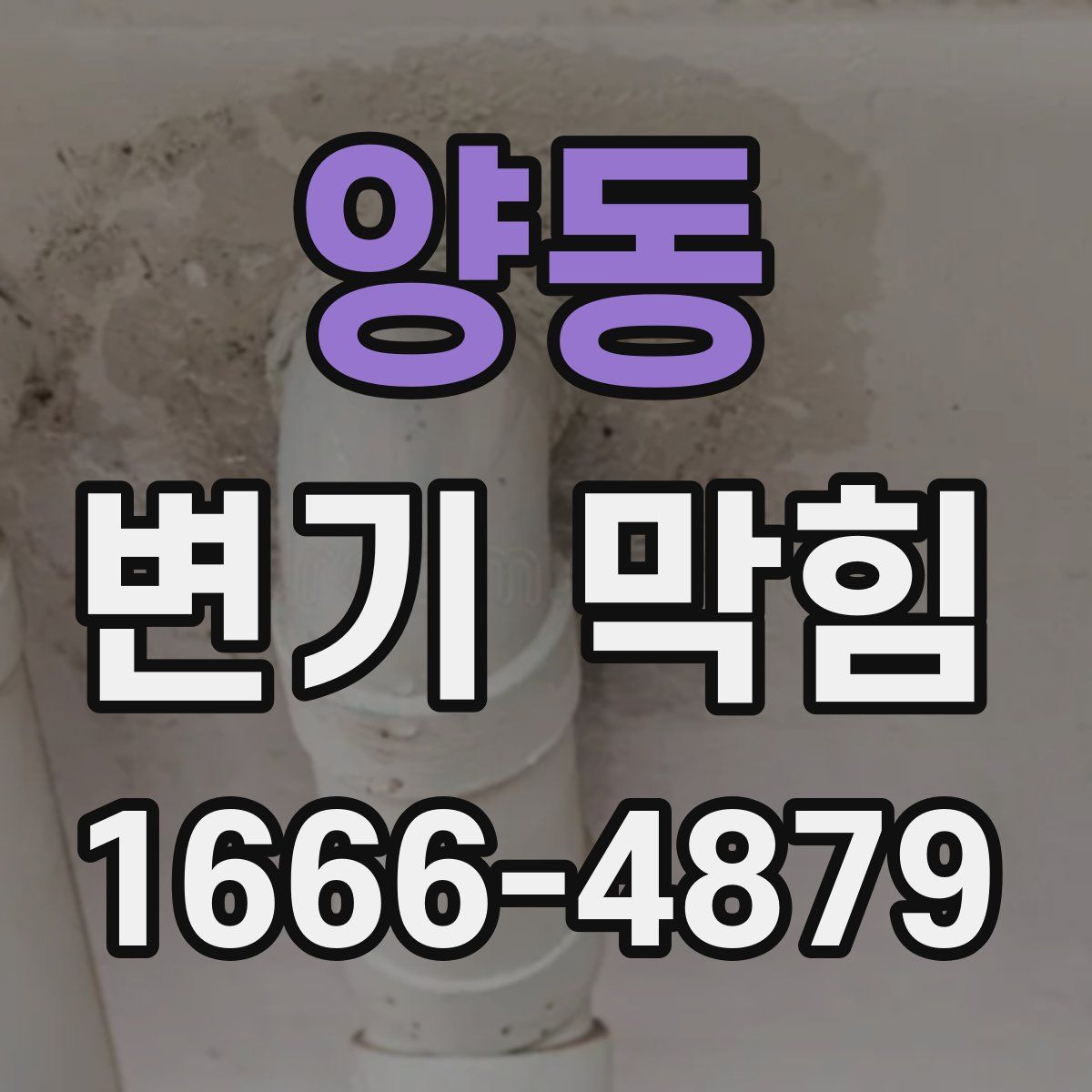 양동 변기 막힘