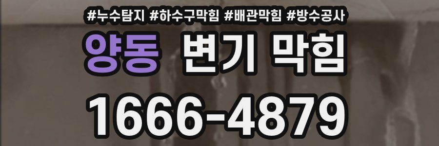 양동 변기 막힘