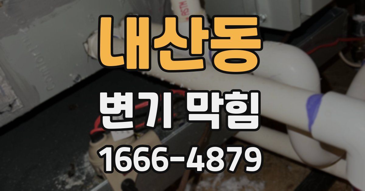 내산동 변기 막힘