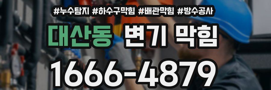대산동 변기 막힘