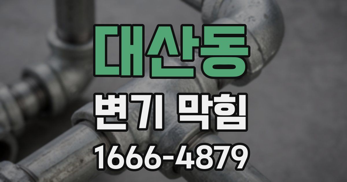 대산동 변기 막힘