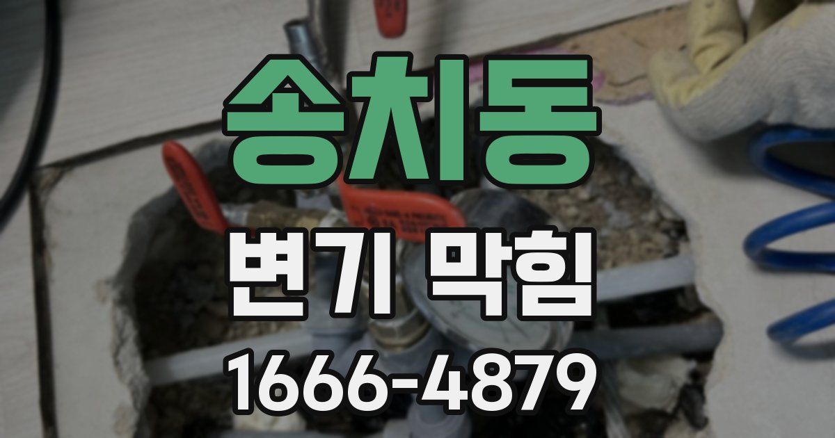 송치동 변기 막힘