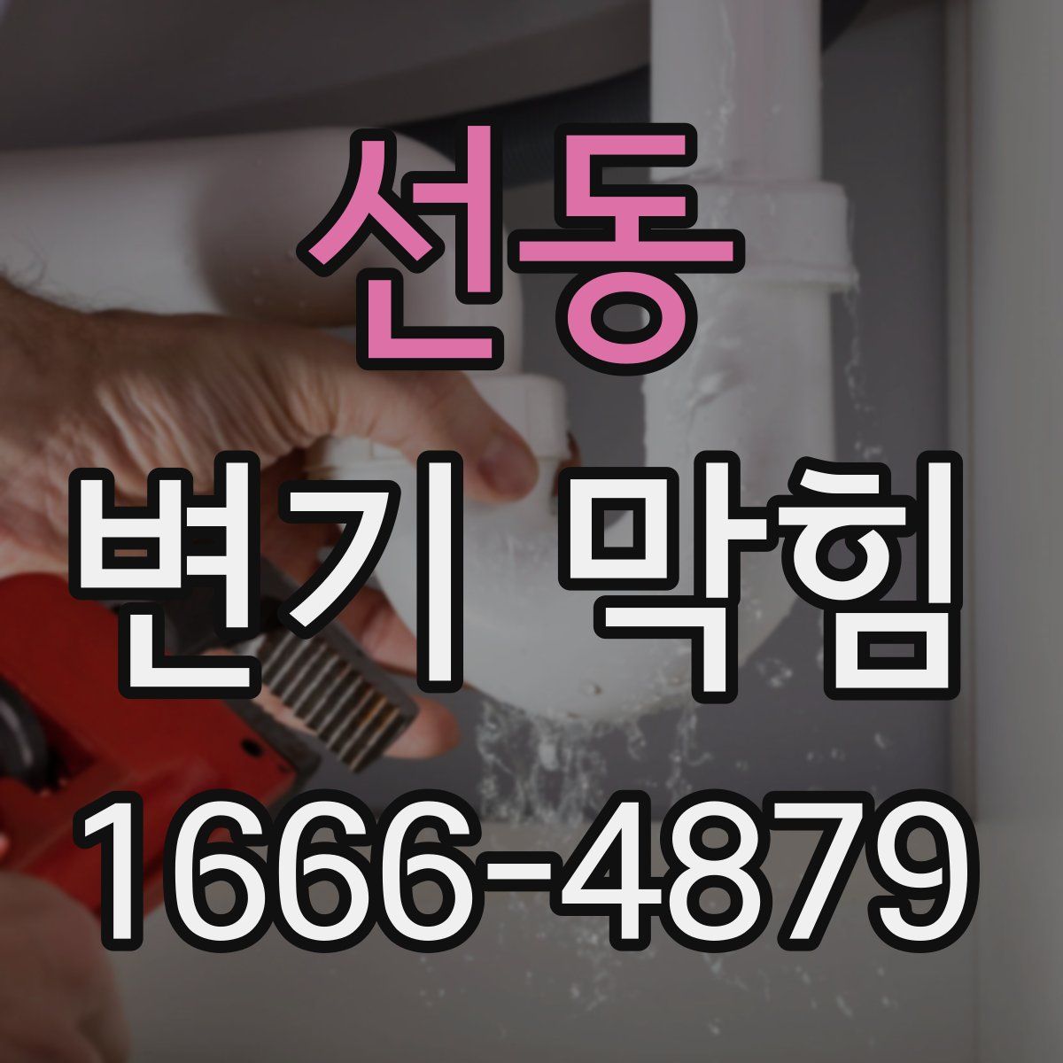 선동 변기 막힘