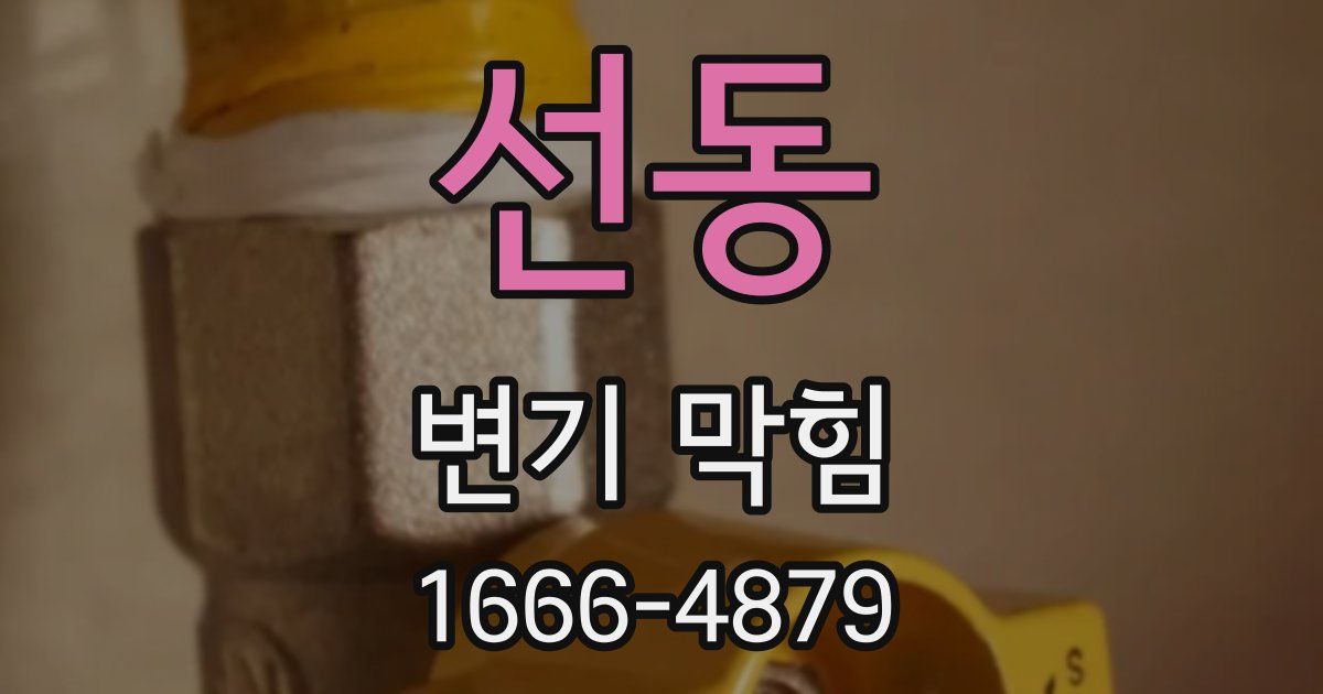 선동 변기 막힘