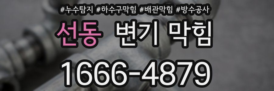 선동 변기 막힘
