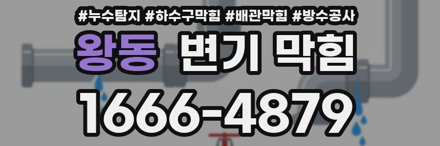 왕동 변기 막힘
