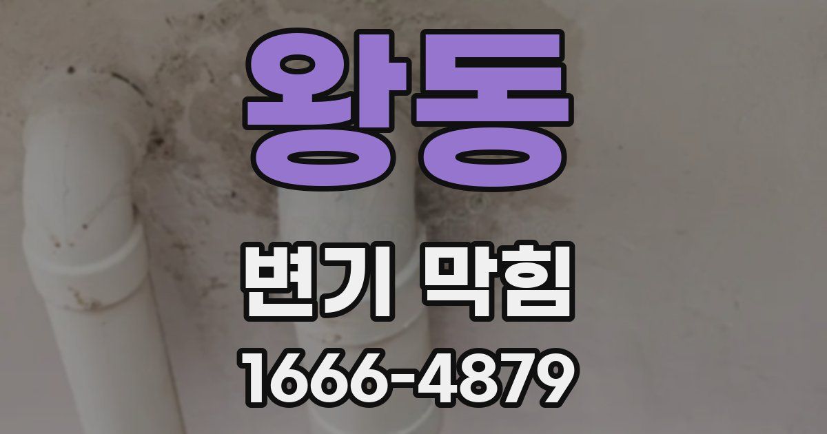 왕동 변기 막힘