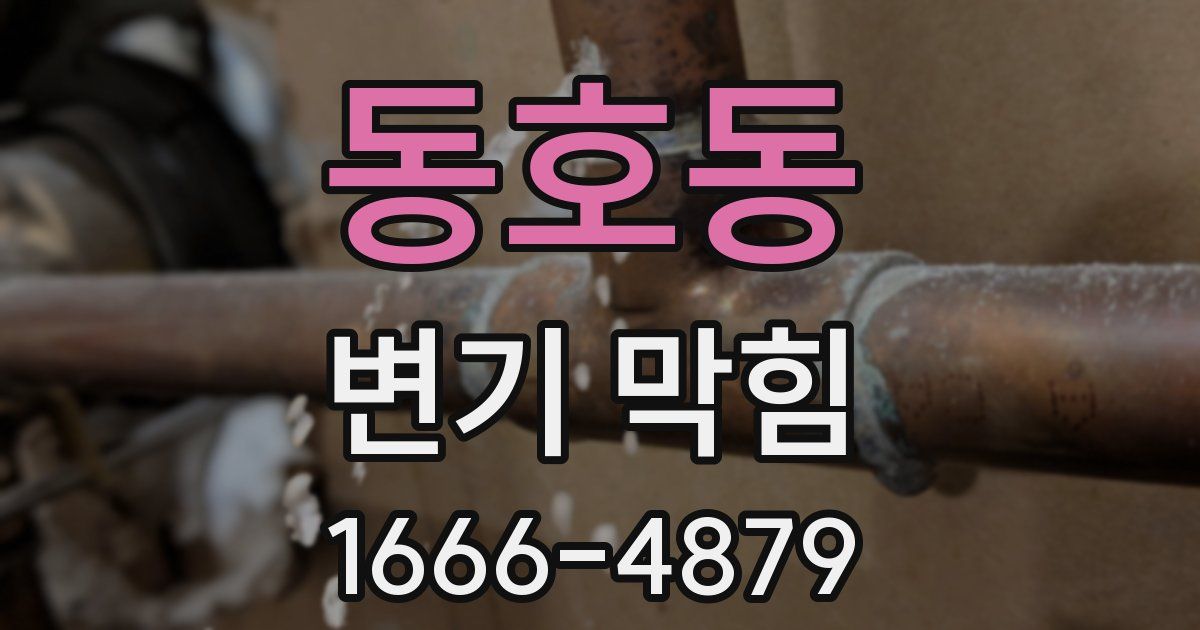 동호동 변기 막힘