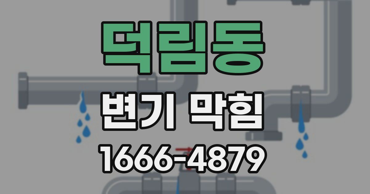 덕림동 변기 막힘