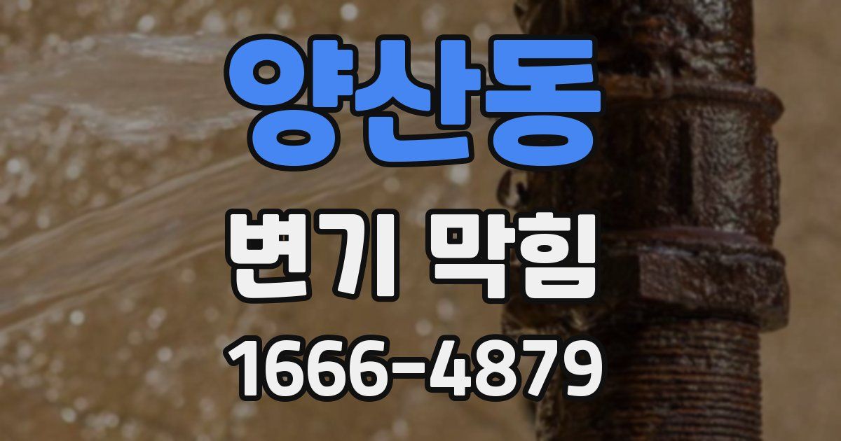 양산동 변기 막힘