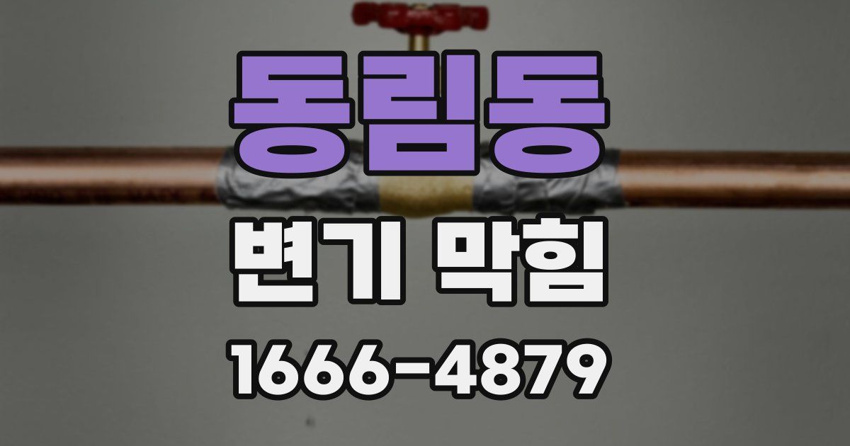 동림동 변기 막힘