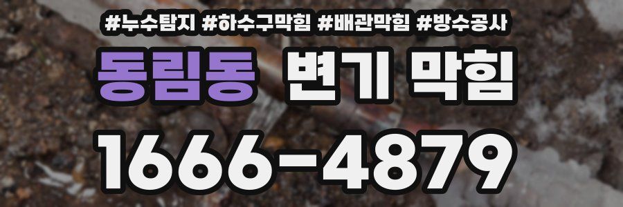 동림동 변기 막힘