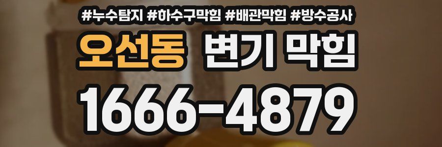 오선동 변기 막힘