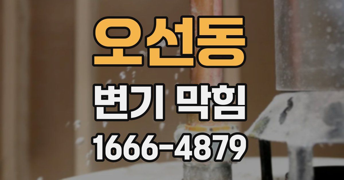 오선동 변기 막힘