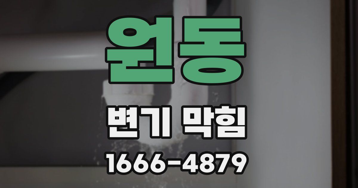원동 변기 막힘