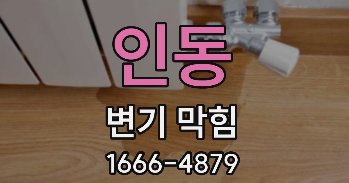 인동 변기 막힘
