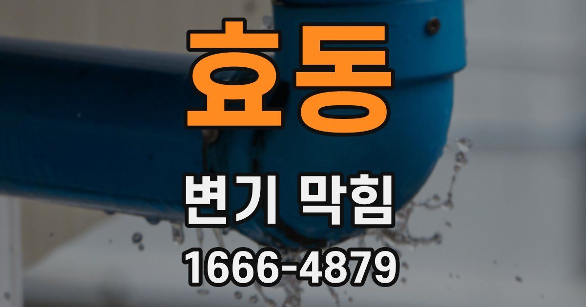 효동 변기 막힘