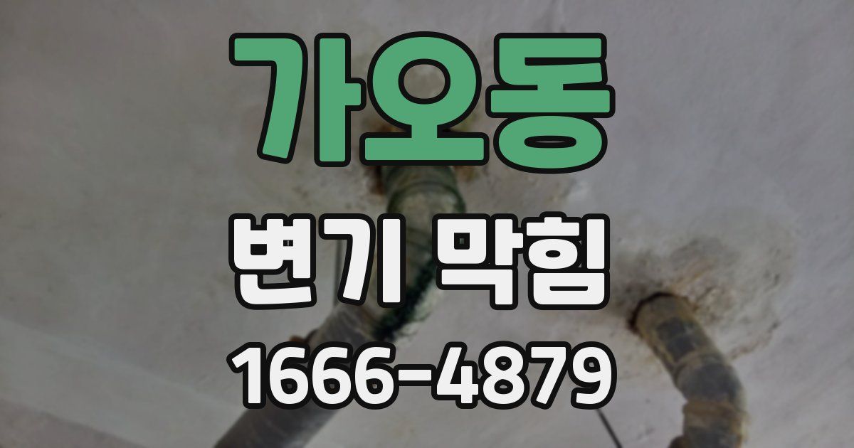 가오동 변기 막힘