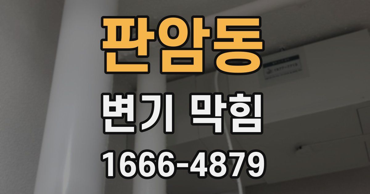 판암동 변기 막힘