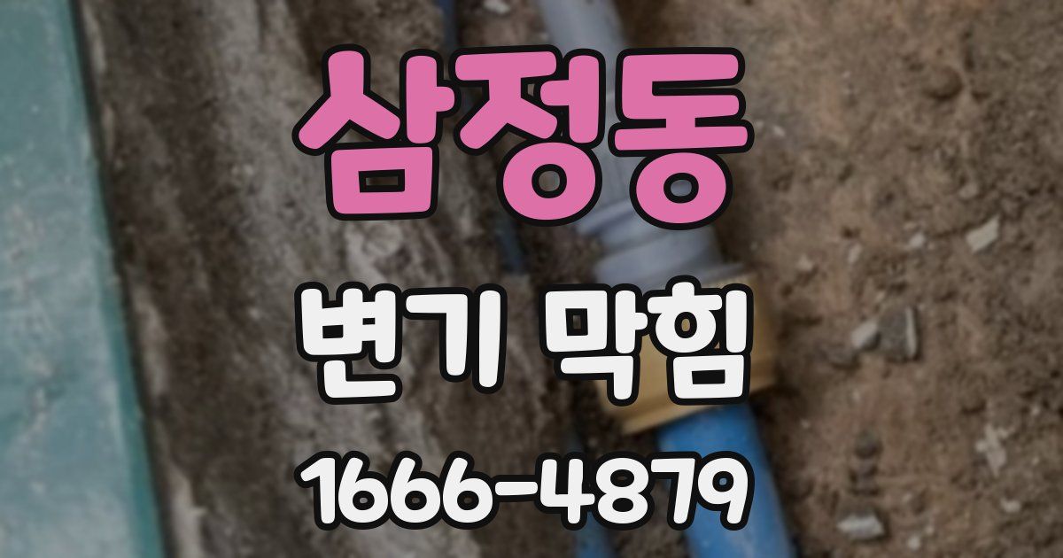 삼정동 변기 막힘