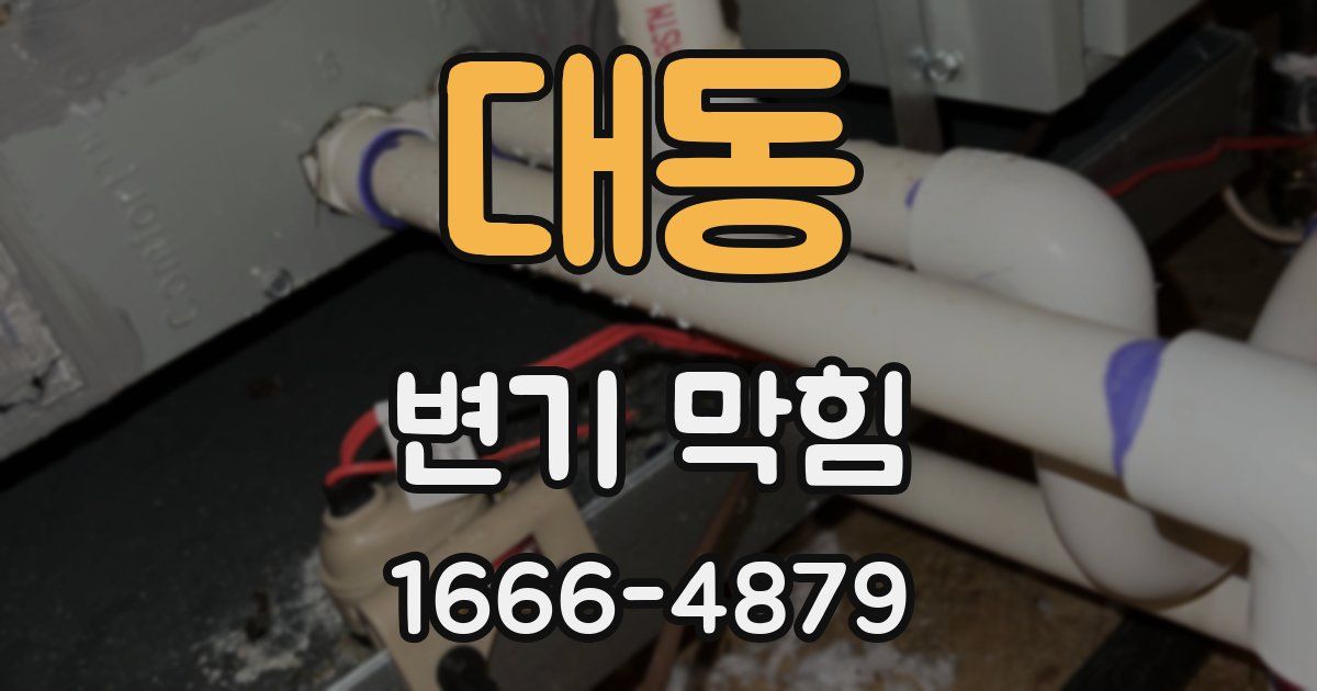 대동 변기 막힘