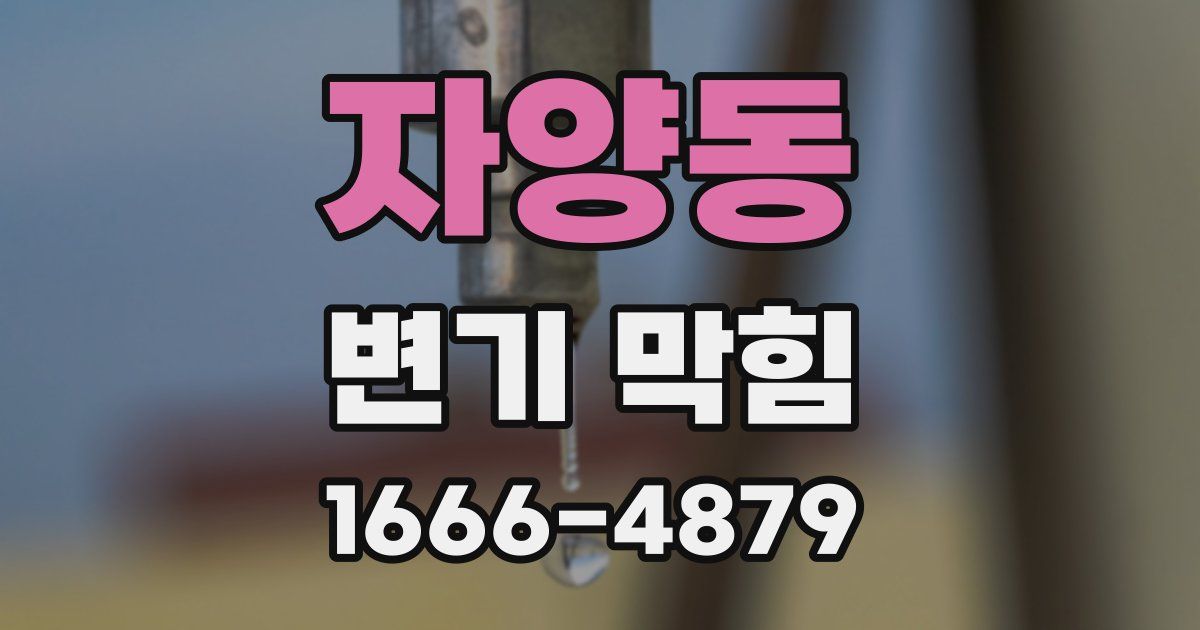 자양동 변기 막힘