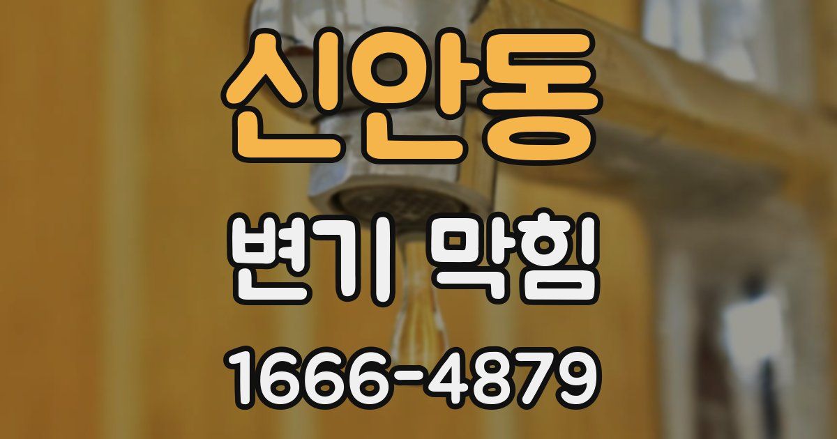 신안동 변기 막힘