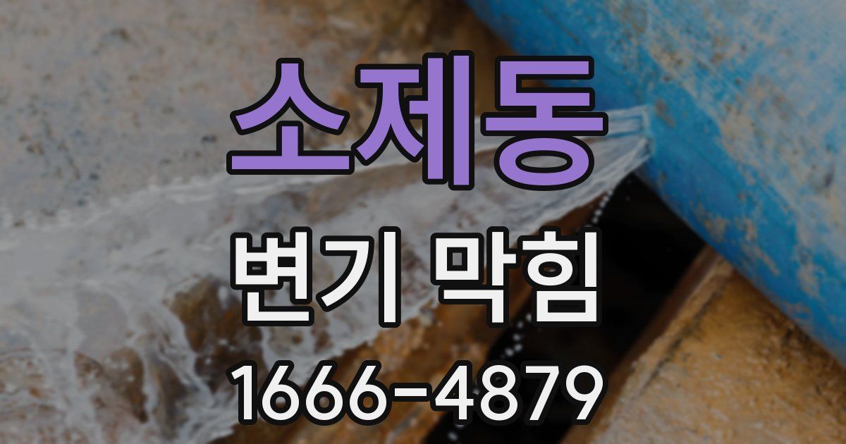 소제동 변기 막힘