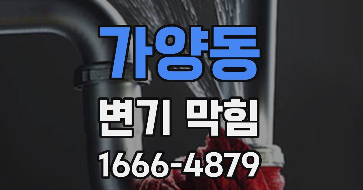 가양동 변기 막힘