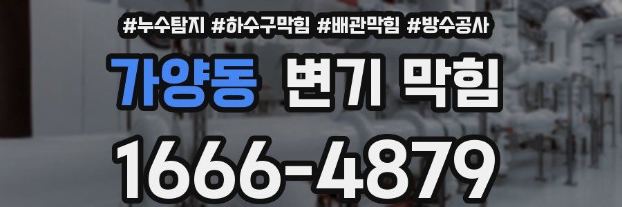 가양동 변기 막힘
