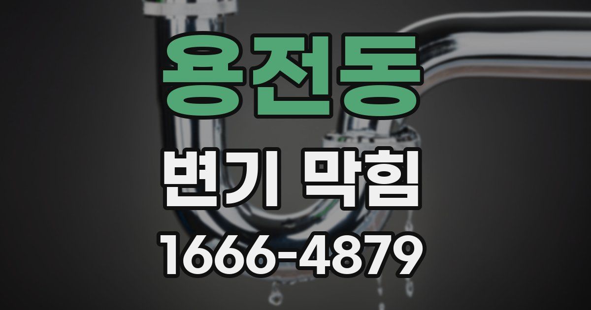 용전동 변기 막힘