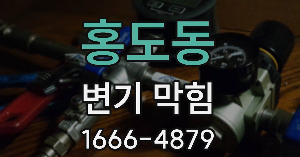 홍도동 변기 막힘