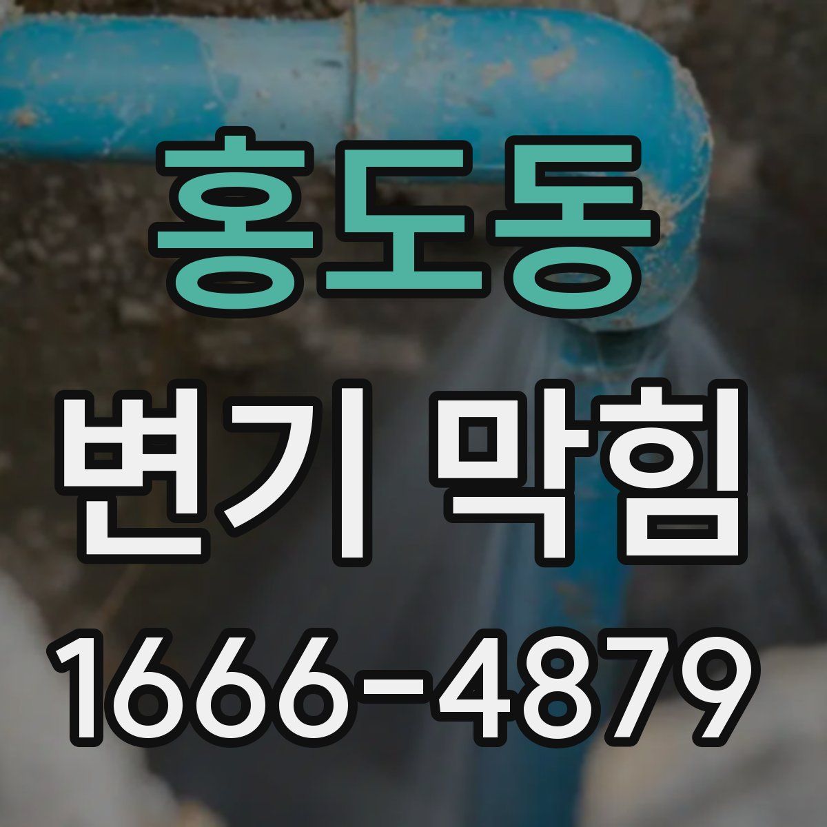 홍도동 변기 막힘