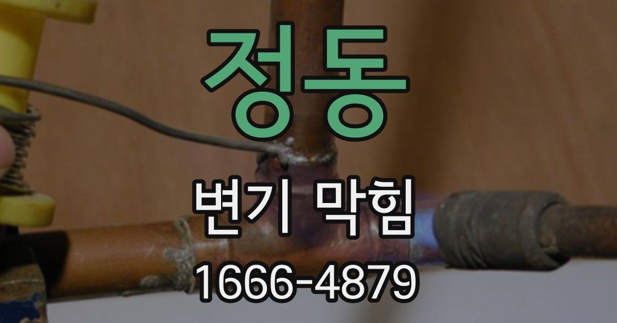 정동 변기 막힘
