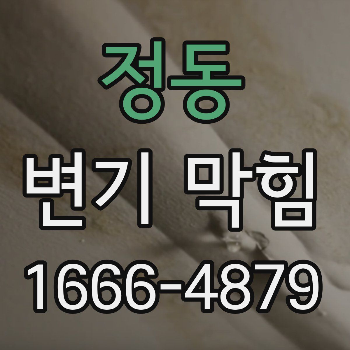 정동 변기 막힘