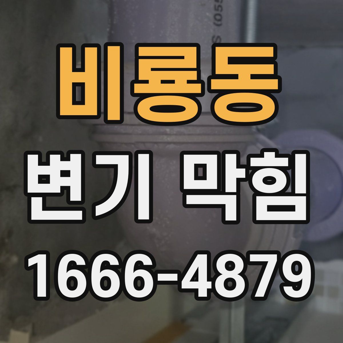 비룡동 변기 막힘