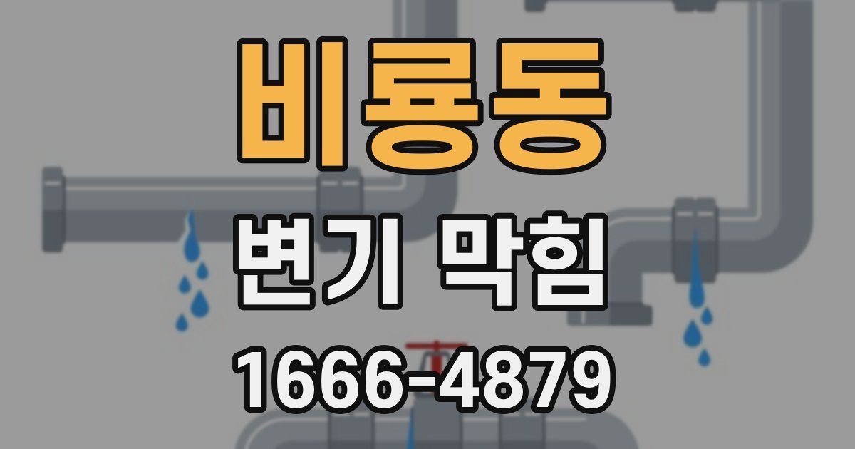 비룡동 변기 막힘