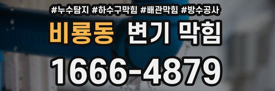 비룡동 변기 막힘