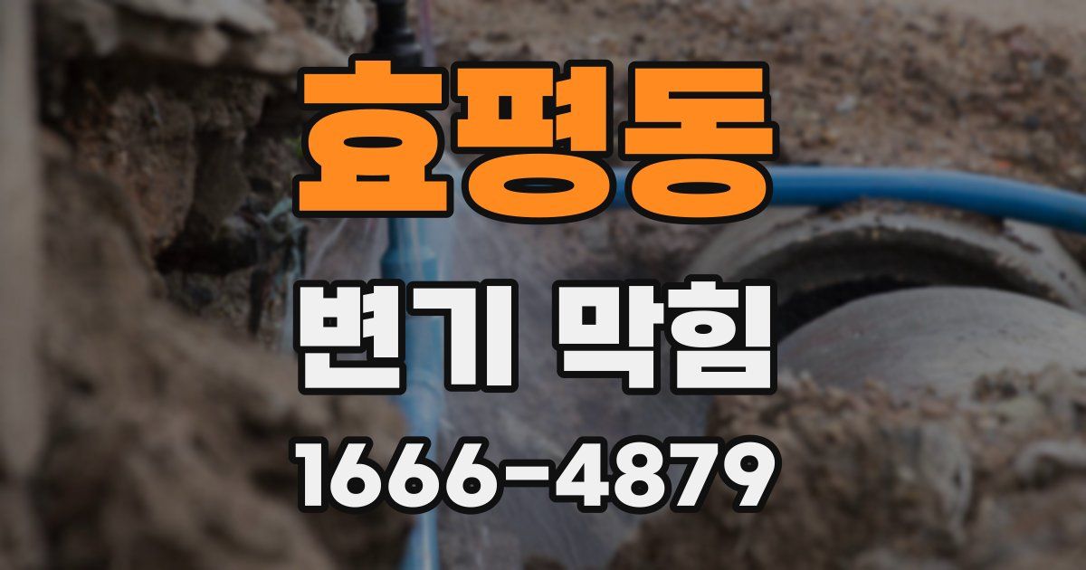 효평동 변기 막힘