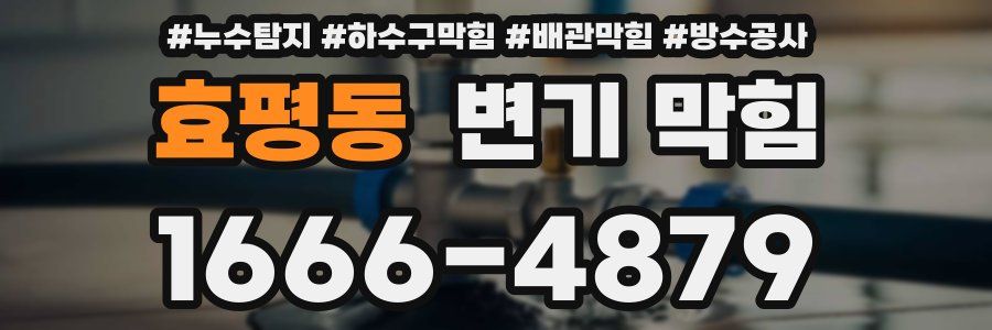 효평동 변기 막힘