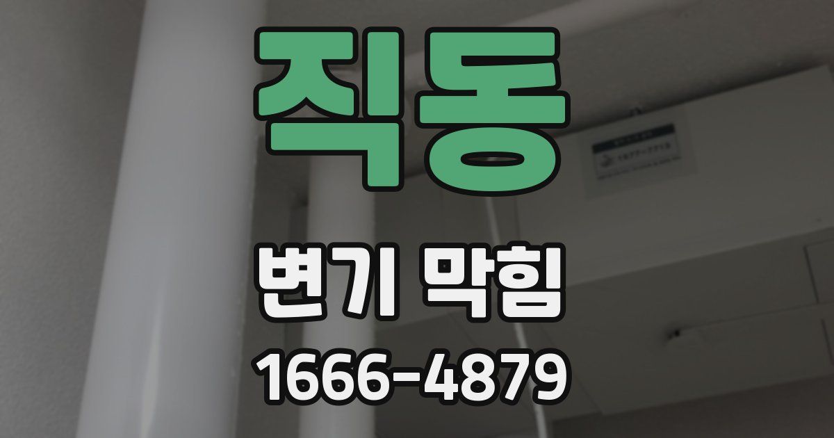 직동 변기 막힘